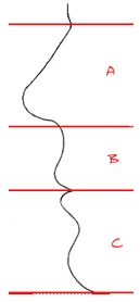 facial proportions