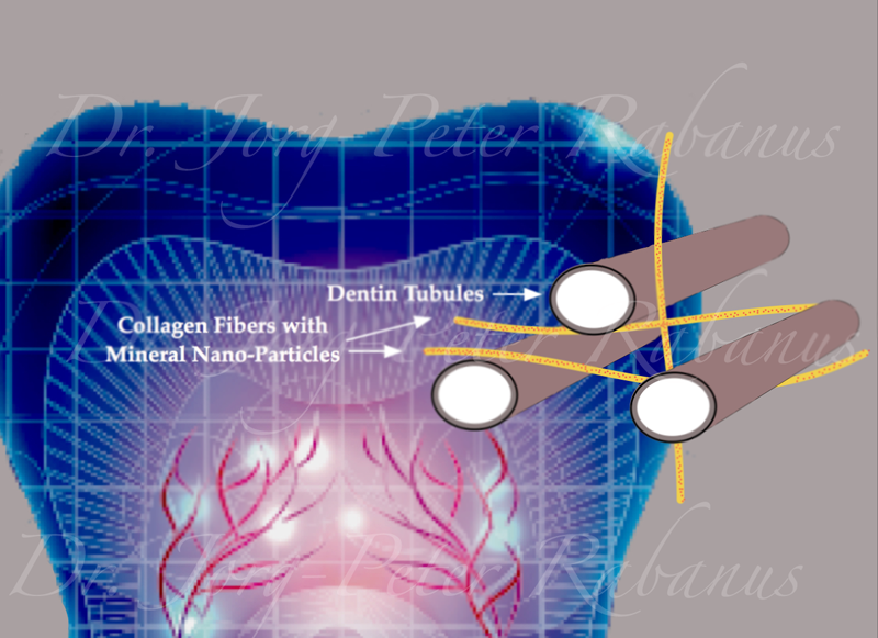 cosmetic dentists need strong teeth