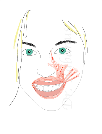 smile muscles in cosmetic dentistry